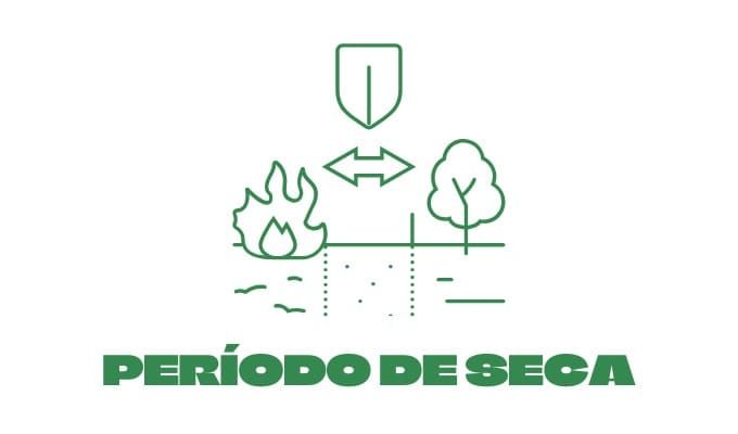 Imagem Intro